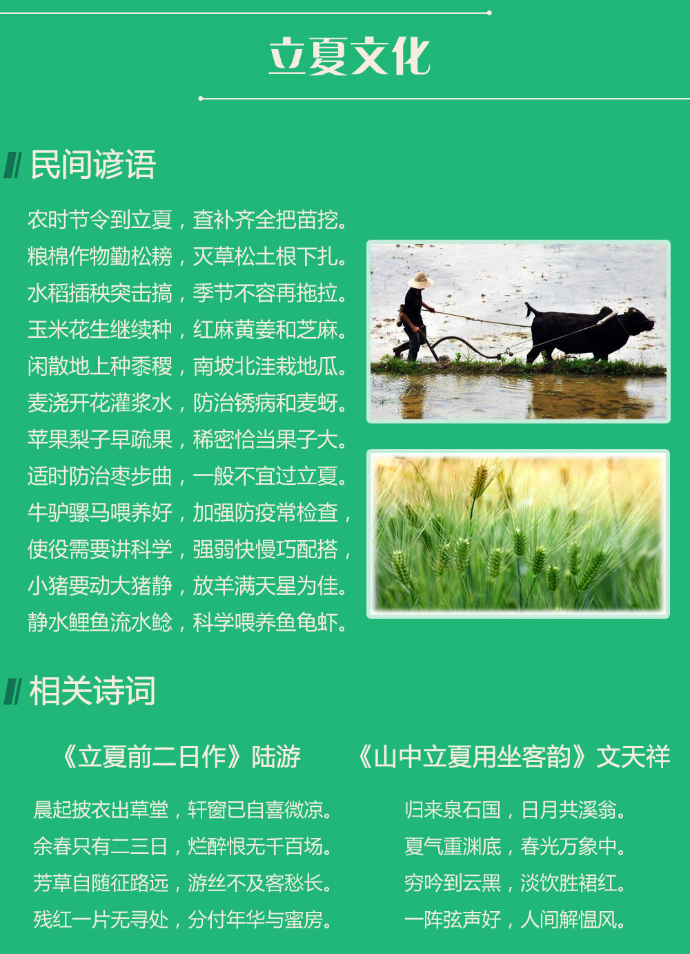 立夏文化,民间谚语,相关诗词